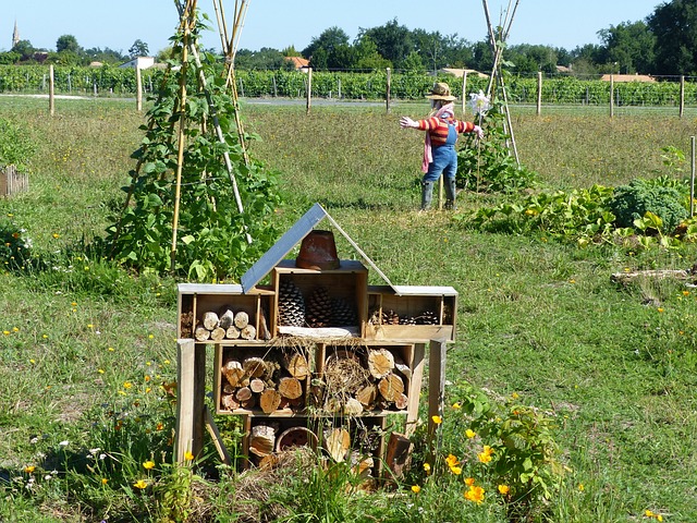 permaculture principal one