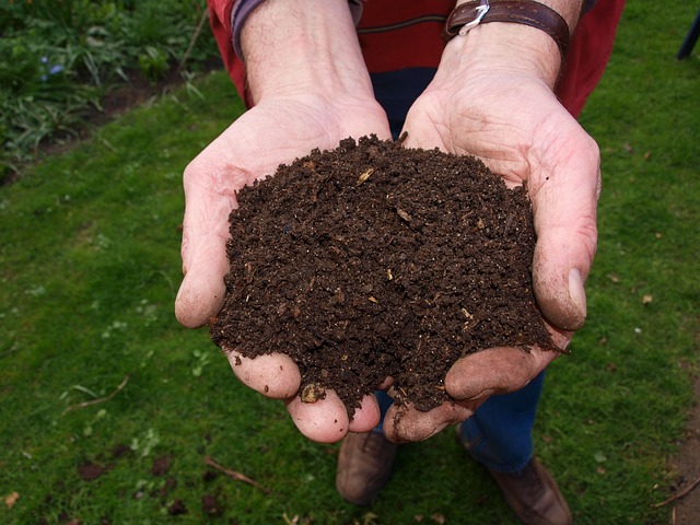 building healthy soil