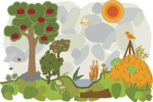 Permaculture