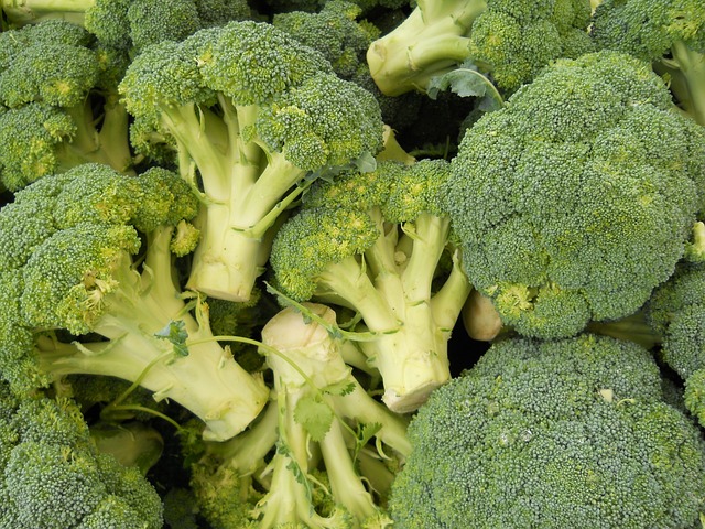 how to grow broccoli