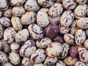 How to store beans long term