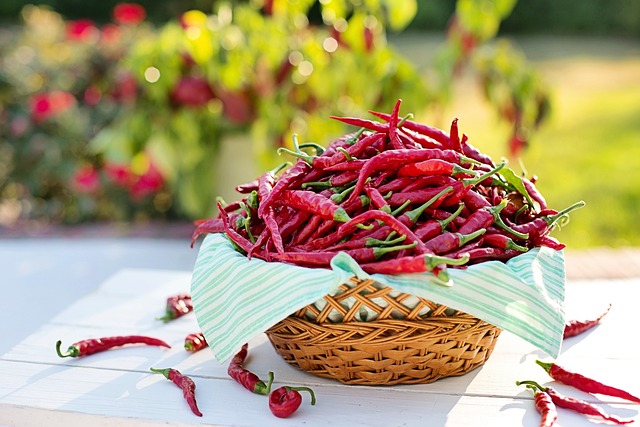 how to ferment peppers