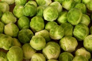 how to grow brussels sprouts