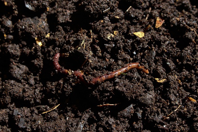 Static Pile Composting