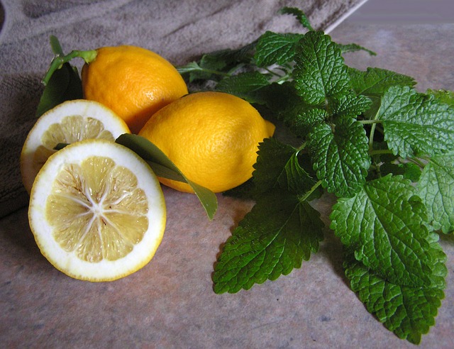 health benefits of lemon balm