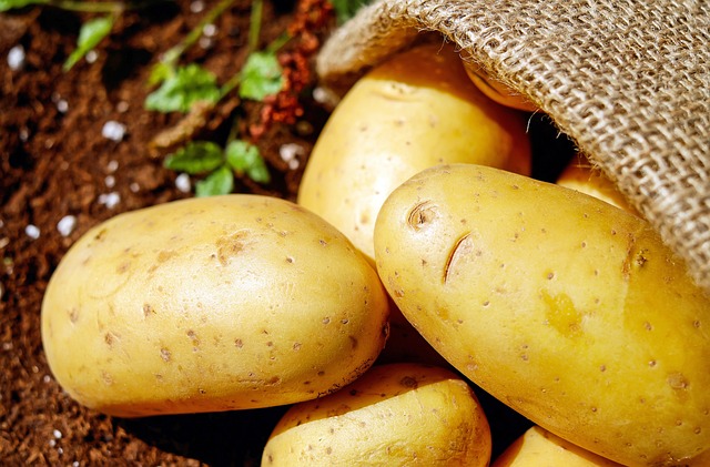 what to plant after potatoes