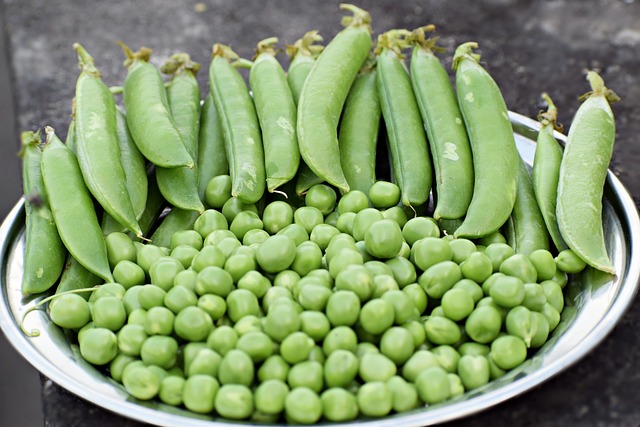 how to grow peas