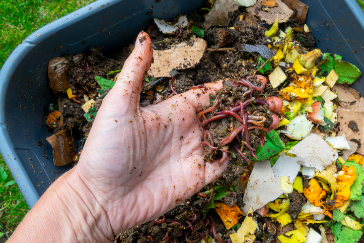 basket compost