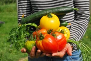 zone 7 vegetables