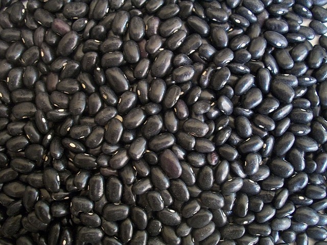 growing black beans