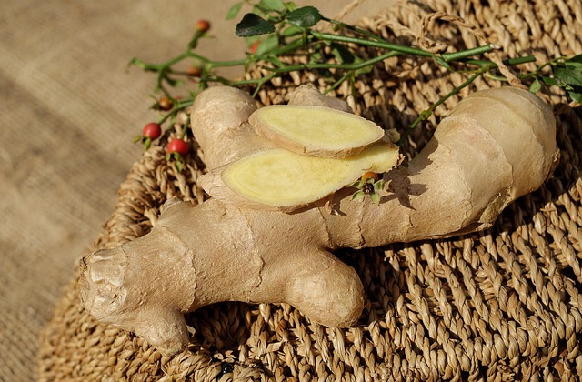 Anti-Nausea Effects of Ginger