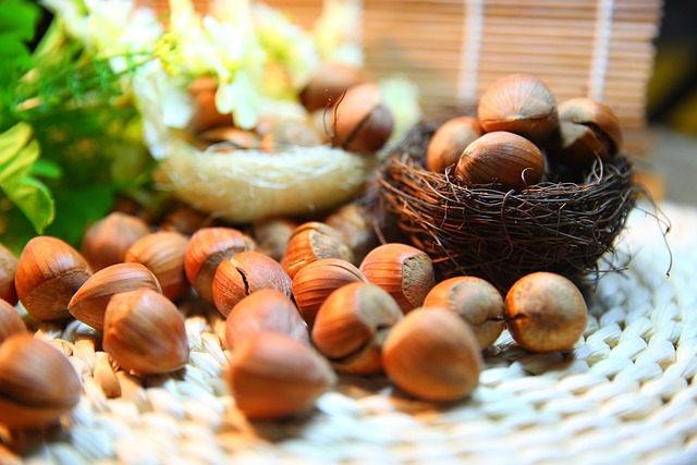 how to grow European hazelnuts