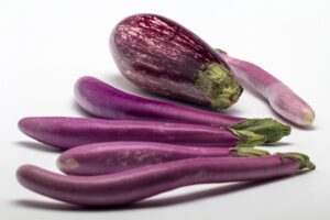 growing eggplant