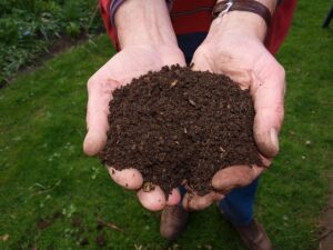 compost tea