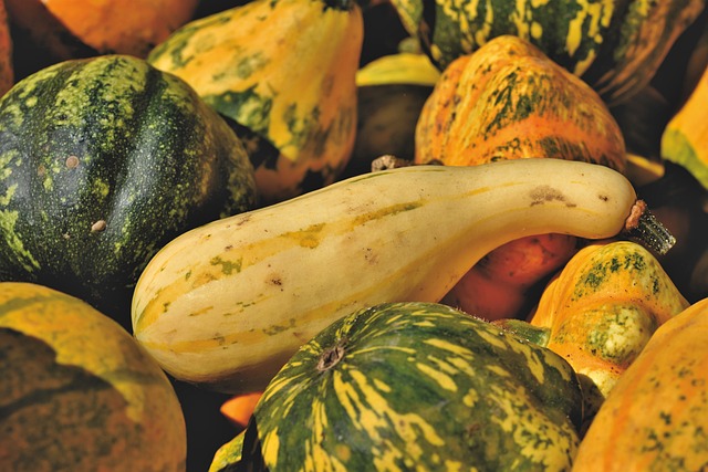 how to grow squash