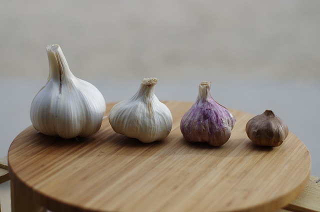 how to grow elephant garlic