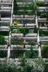 urban vertical gardening