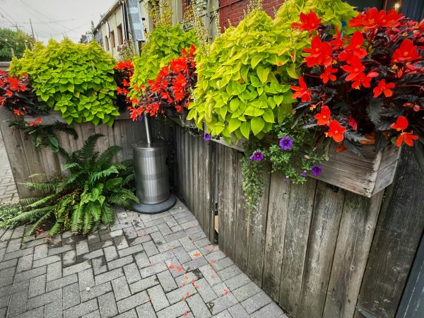 vertical gardening