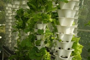 vertical garden irrigation