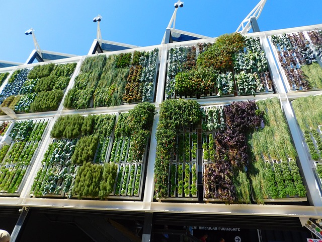 vertical urban garden