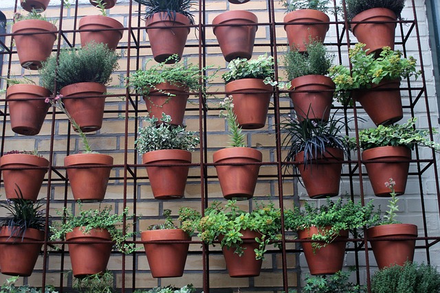 vertical gardening ideas