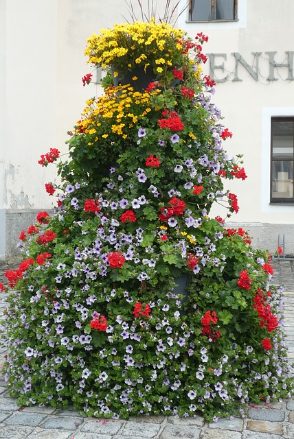 vertical gardening