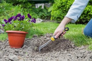 Vegetables for First-Time Gardeners