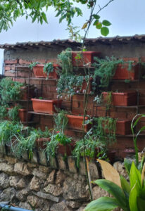 vertical vegetable gardening 