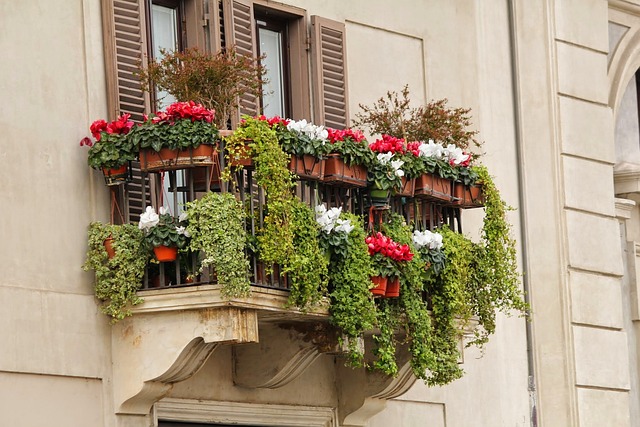 Balcony Vertical Vegetable Gardening