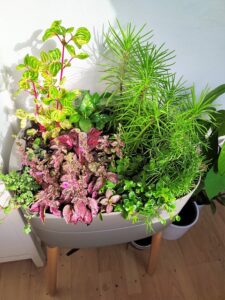 air purifying vertical garden 