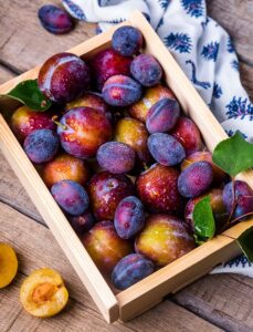 how to grow plums