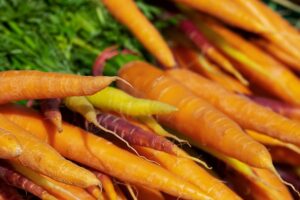 Best Time to Plant Carrots