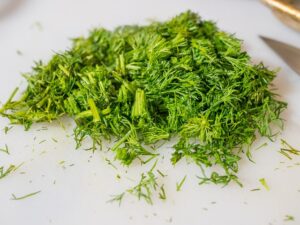 how to grow dill