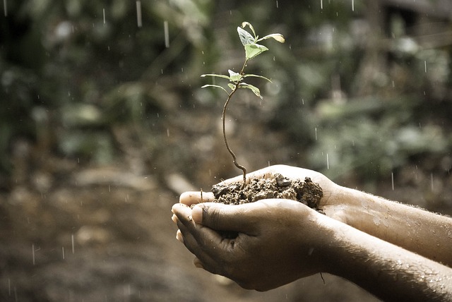 Permaculture Water Harvesting