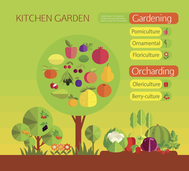 food forest design